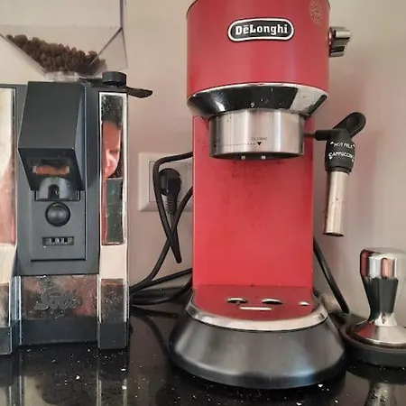 Paradijs In Apartment Zandvoort